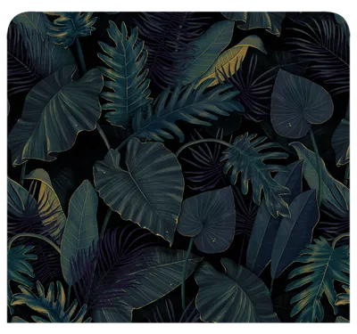 Elephant jungle