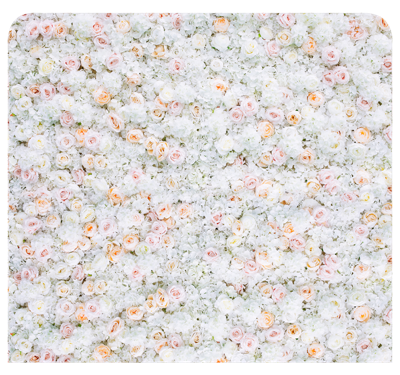 Blush flower wall